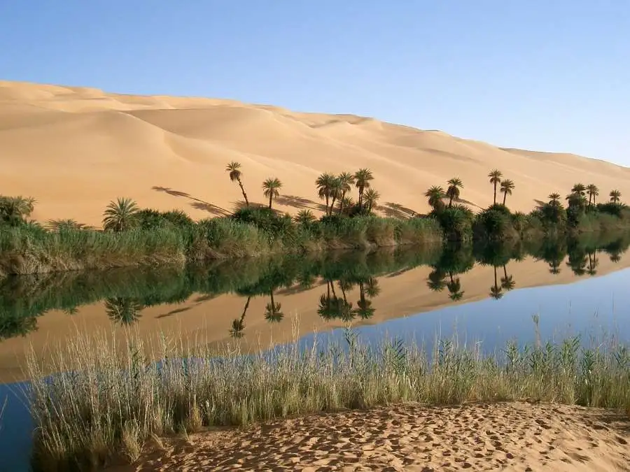 oasis deiserto