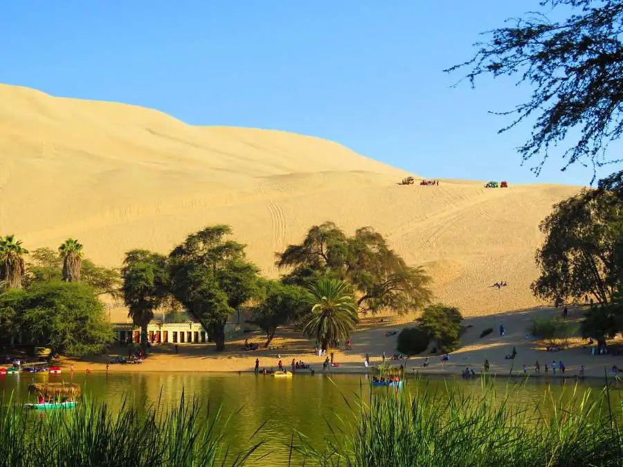 oasis desierto real